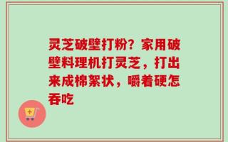 灵芝破壁打粉？家用破壁料理机打灵芝，打出来成棉絮状，嚼着硬怎吞吃