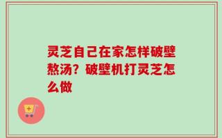 灵芝自己在家怎样破壁熬汤？破壁机打灵芝怎么做