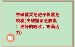生破壁灵芝孢子粉紫芝胶囊(生破壁紫芝胶囊：更好的吸收，充满活力)