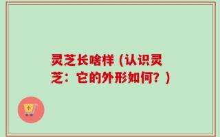 灵芝长啥样 (认识灵芝：它的外形如何？)