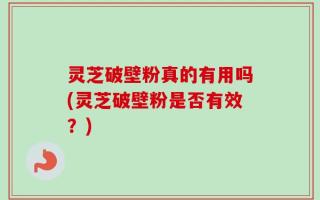 灵芝破壁粉真的有用吗(灵芝破壁粉是否有效？)