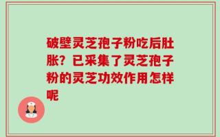 破壁灵芝孢子粉吃后肚胀？已采集了灵芝孢子粉的灵芝功效作用怎样呢