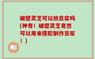 破壁灵芝可以放豆浆吗(神奇！破壁灵芝竟然可以用来搭配制作豆浆！)
