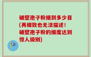 破壁孢子粉细到多少目(再细致也无法描述！破壁孢子粉的细度达到惊人级别)