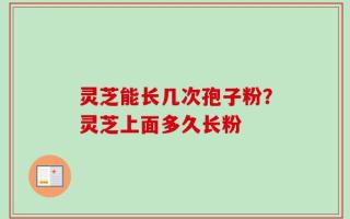 灵芝能长几次孢子粉？灵芝上面多久长粉
