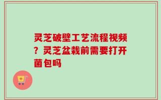 灵芝破壁工艺流程视频？灵芝盆栽前需要打开菌包吗