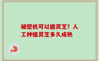 破壁机可以磨灵芝？人工种植灵芝多久成熟