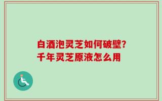 白酒泡灵芝如何破壁？千年灵芝原液怎么用