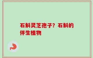 石斛灵芝孢子？石斛的伴生植物