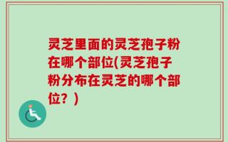 灵芝里面的灵芝孢子粉在哪个部位(灵芝孢子粉分布在灵芝的哪个部位？)