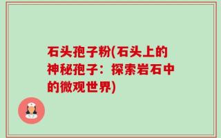 石头孢子粉(石头上的神秘孢子：探索岩石中的微观世界)