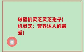 破壁机灵芝灵芝孢子(机灵芝：营养达人的最爱)