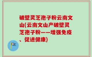 破壁灵芝孢子粉云南文山(云南文山产破壁灵芝孢子粉——增强免疫、促进健康)