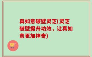 真如意破壁灵芝(灵芝破壁提升功效，让真如意更加神奇)