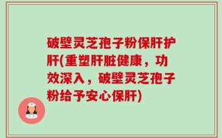 破壁灵芝孢子粉保肝护肝(重塑肝脏健康，功效深入，破壁灵芝孢子粉给予安心保肝)