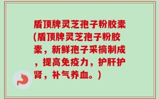 盾顶牌灵芝孢子粉胶橐(盾顶牌灵芝孢子粉胶橐，新鲜孢子采摘制成，提高免疫力，护肝护肾，补气养血。)