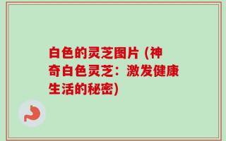 白色的灵芝图片 (神奇白色灵芝：激发健康生活的秘密)