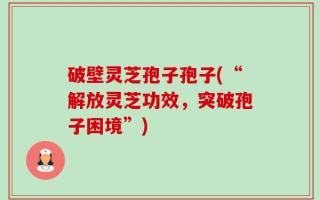 破壁灵芝孢子孢子(“解放灵芝功效，突破孢子困境”)