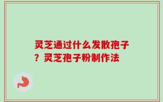 灵芝通过什么发散孢子？灵芝孢子粉制作法