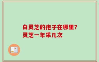 白灵芝的孢子在哪里？灵芝一年采几次