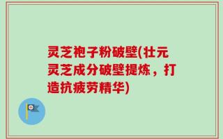 灵芝袍子粉破壁(壮元灵芝成分破壁提炼，打造抗疲劳精华)