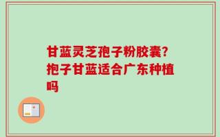 甘蓝灵芝孢子粉胶囊？抱子甘蓝适合广东种植吗