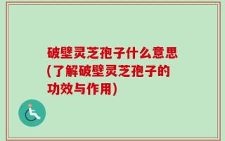 破壁灵芝孢子什么意思(了解破壁灵芝孢子的功效与作用)
