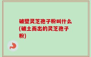 破壁灵芝孢子粉叫什么(破土而出的灵芝孢子粉)