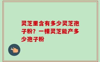 灵芝里含有多少灵芝孢子粉？一棵灵芝能产多少孢子粉