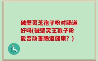 破壁灵芝孢子粉对肠道好吗(破壁灵芝孢子粉能否改善肠道健康？)
