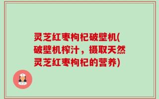 灵芝红枣枸杞破壁机(破壁机榨汁，摄取天然灵芝红枣枸杞的营养)