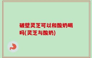 破壁灵芝可以和酸奶喝吗(灵芝与酸奶)