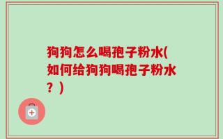 狗狗怎么喝孢子粉水(如何给狗狗喝孢子粉水？)