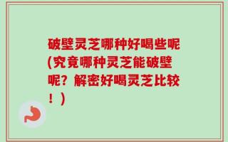 破壁灵芝哪种好喝些呢(究竟哪种灵芝能破壁呢？解密好喝灵芝比较！)