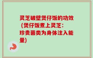 灵芝破壁煲仔饭的功效 (煲仔饭煮上灵芝：珍贵菌类为身体注入能量)