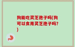 狗能吃灵芝孢子吗(狗可以食用灵芝孢子吗？)