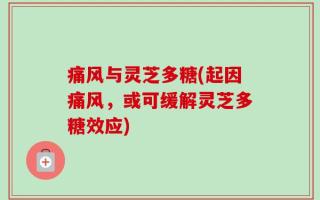 痛风与灵芝多糖(起因痛风，或可缓解灵芝多糖效应)