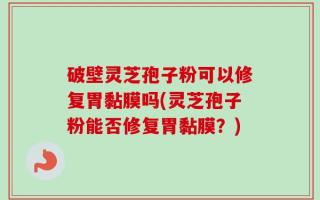 破壁灵芝孢子粉可以修复胃黏膜吗(灵芝孢子粉能否修复胃黏膜？)
