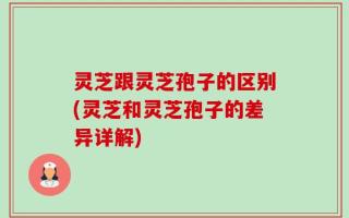 灵芝跟灵芝孢子的区别(灵芝和灵芝孢子的差异详解)