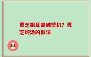 灵芝银耳羹破壁机？灵芝炖汤的做法