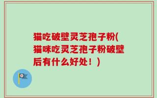猫吃破壁灵芝孢子粉(猫咪吃灵芝孢子粉破壁后有什么好处！)