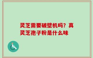 灵芝需要破壁机吗？真灵芝孢子粉是什么味