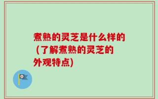 煮熟的灵芝是什么样的 (了解煮熟的灵芝的外观特点)