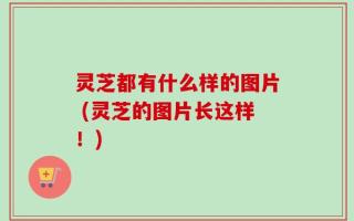 灵芝都有什么样的图片 (灵芝的图片长这样！)