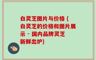 白灵芝图片与价格 (白灵芝的价格和图片展示 - 国内品牌灵芝新鲜出炉)