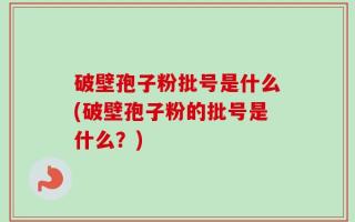 破壁孢子粉批号是什么(破壁孢子粉的批号是什么？)