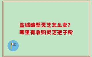盐城破壁灵芝怎么卖？哪里有收购灵芝孢子粉