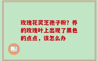 玫瑰花灵芝孢子粉？养的玫瑰叶上出现了黑色的点点，该怎么办