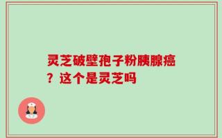 灵芝破壁孢子粉胰腺癌？这个是灵芝吗