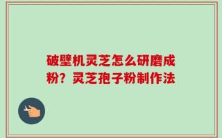 破壁机灵芝怎么研磨成粉？灵芝孢子粉制作法